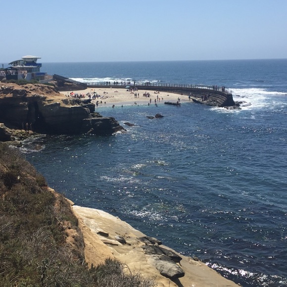 Meet your Posher, Kelly - Picture 1 of 1